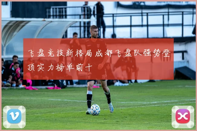 飞盘竞技新格局成都飞盘队强势登顶实力榜单前十