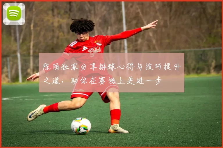 陈丽独家分享排球心得与技巧提升之道，助你在赛场上更进一步