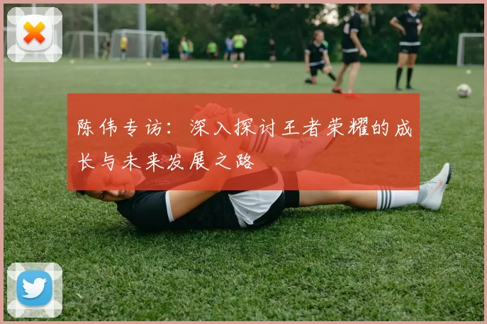 陈伟专访：深入探讨王者荣耀的成长与未来发展之路