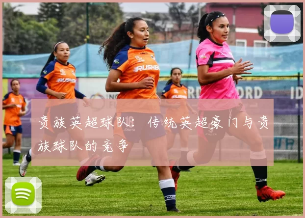 贵族英超球队：传统英超豪门与贵族球队的竞争