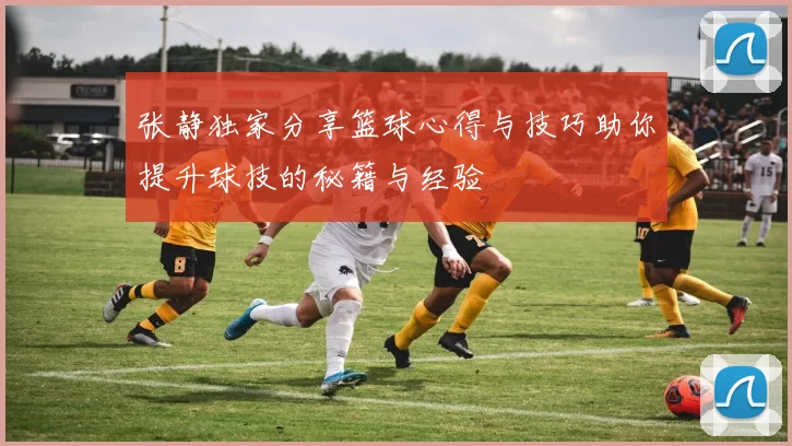 张静独家分享篮球心得与技巧助你提升球技的秘籍与经验