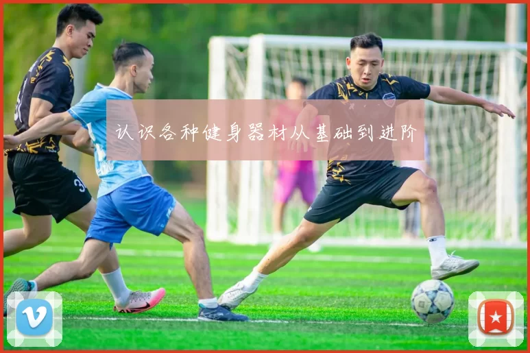 认识各种健身器材从基础到进阶