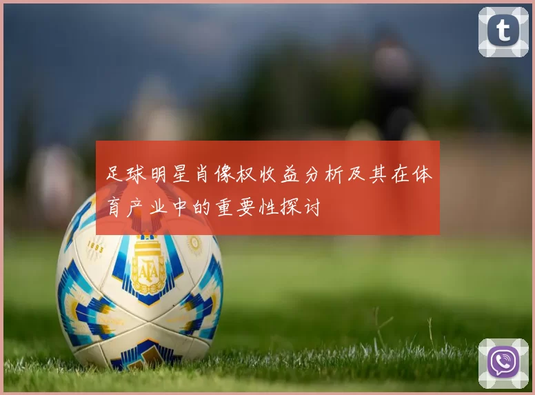 足球明星肖像权收益分析及其在体育产业中的重要性探讨