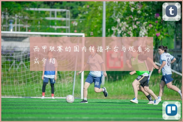 西甲联赛的国内转播平台与观看方式介绍
