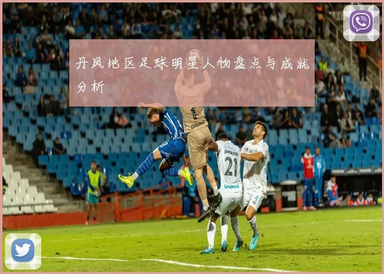 丹凤地区足球明星人物盘点与成就分析