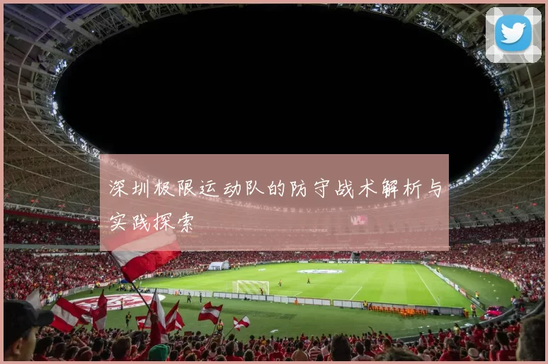 深圳极限运动队的防守战术解析与实践探索