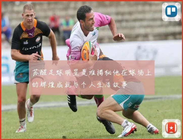 苏醒足球明星是谁揭秘他在球场上的辉煌成就与个人生活故事