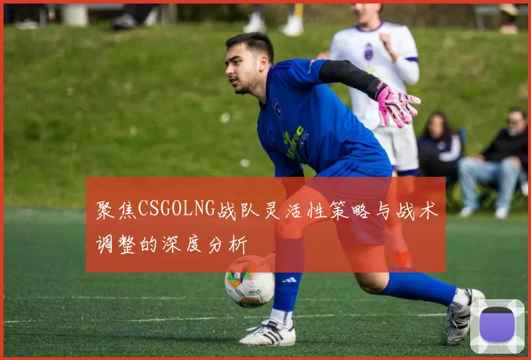 聚焦CSGOLNG战队灵活性策略与战术调整的深度分析