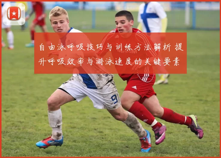自由泳呼吸技巧与训练方法解析 提升呼吸效率与游泳速度的关键要素