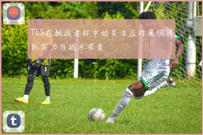 TES在挑战者杯中的灵活应对展现团队实力与战术深度